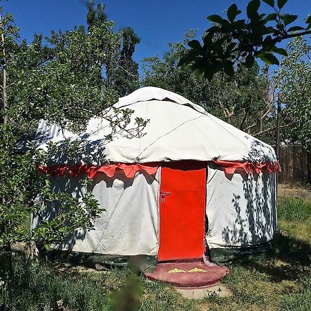 Готель Arista Yurt Camp Каракол Номер фото